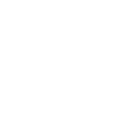1875 Finance